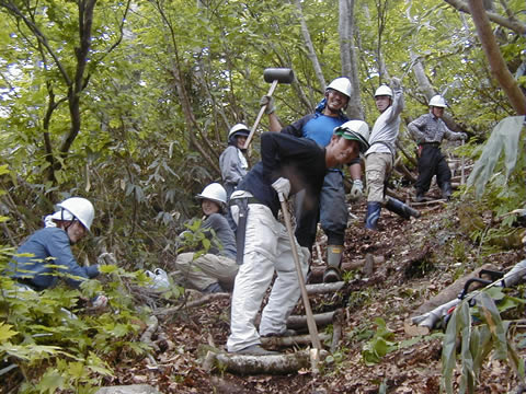 階段づくりは倒木などを利用する